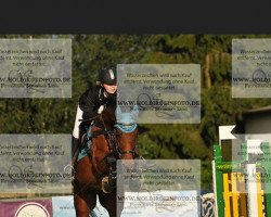 broodmare Dream Girl 58 (German Sport Horse, 2009, from Lipsius)