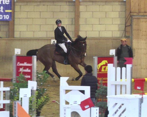 Reitturnier Friedrichshafen - Ailingen 2018