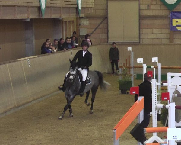 Reitturnier Friedrichshafen - Ailingen 2018