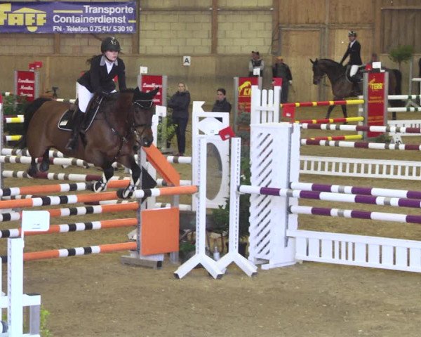 Reitturnier Friedrichshafen - Ailingen 2018