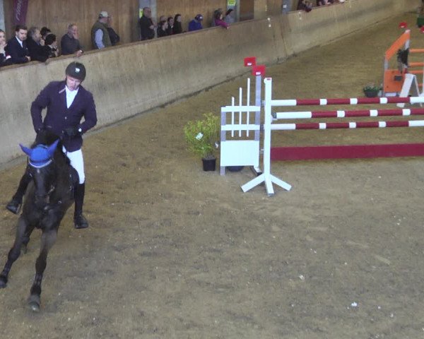 Reitturnier Friedrichshafen - Ailingen 2018