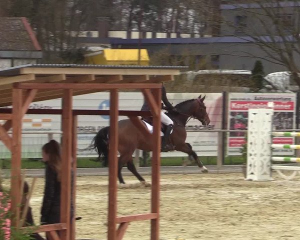 Reitturnier Schloß Holte 2018