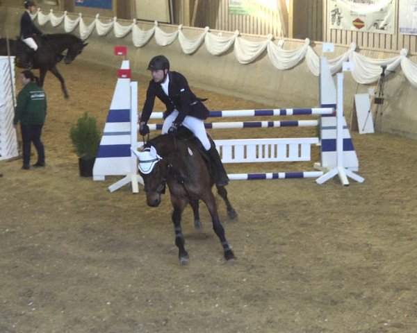 Reitturnier Friedrichshafen - Ailingen 2018