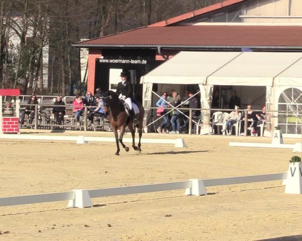 Reitturnier Schloß Holte 2018
