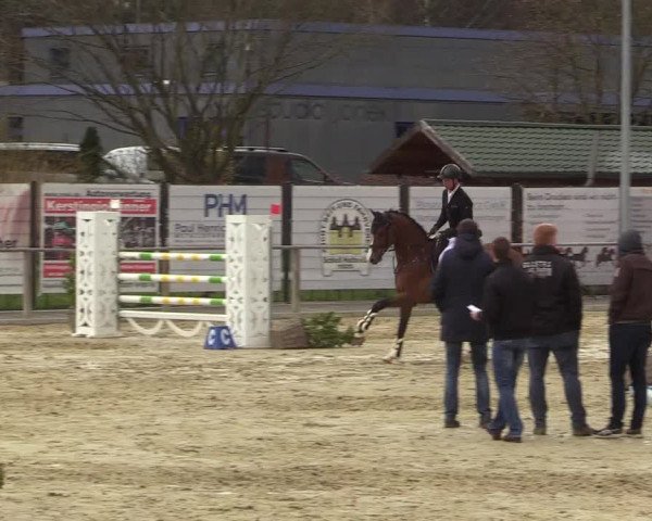Reitturnier Schloß Holte 2018