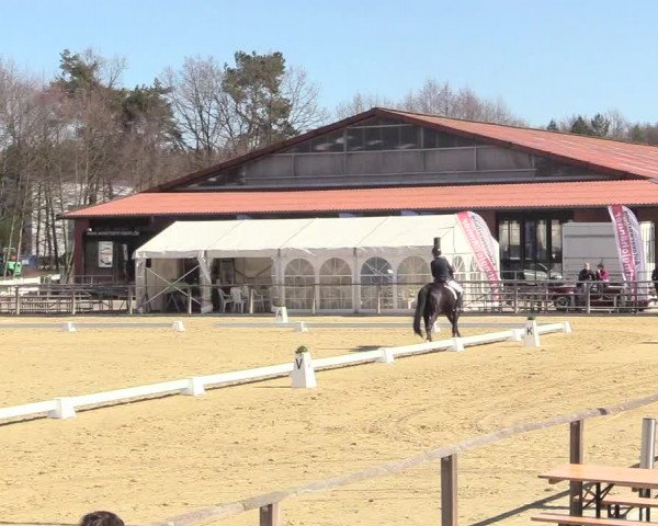 Reitturnier Schloß Holte 2018