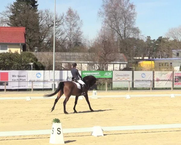 Reitturnier Schloß Holte 2018