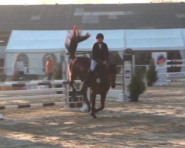 Reitturnier Bottrop 2018