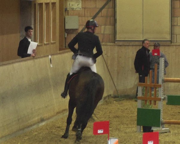 Reitturnier Friedrichshafen - Ailingen 2018