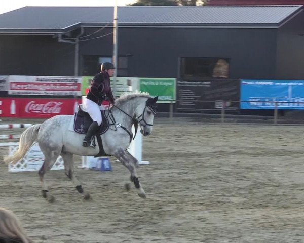 Reitturnier Schloß Holte 2018