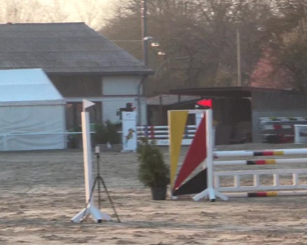 Reitturnier Bottrop 2018