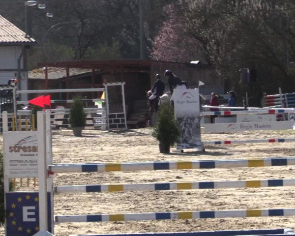 Reitturnier Bottrop 2018