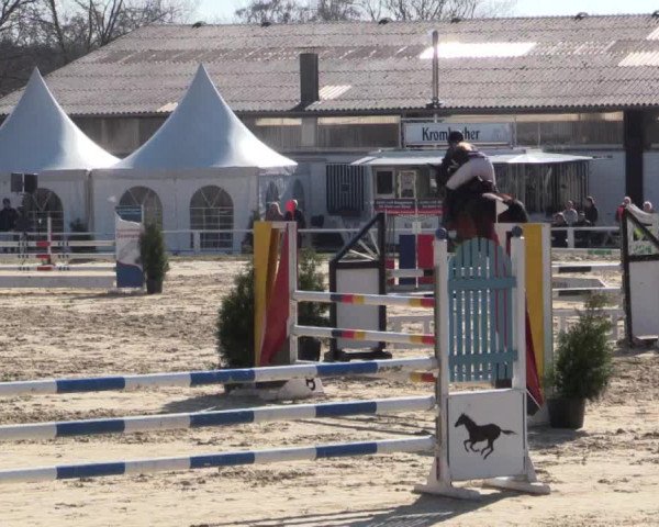 Reitturnier Bottrop 2018