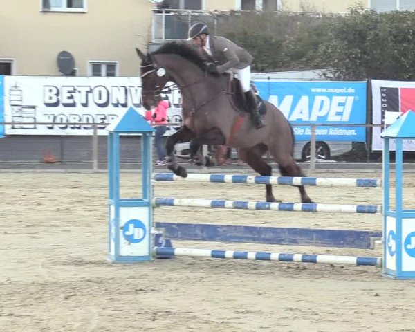 Reitturnier Schloß Holte 2018