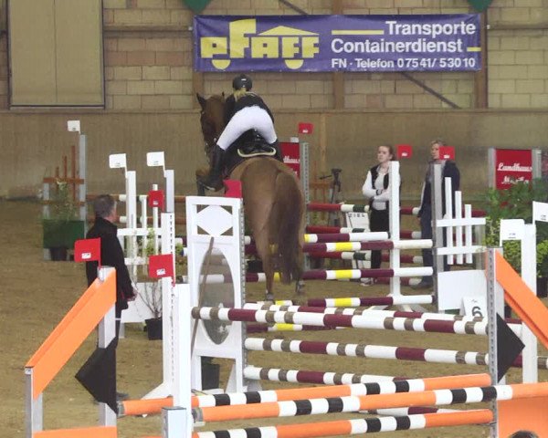 Reitturnier Friedrichshafen - Ailingen 2018