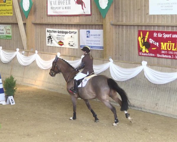 Reitturnier Friedrichshafen - Ailingen 2018