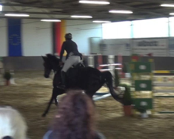 Reitturnier Jüchen-Waat 2018