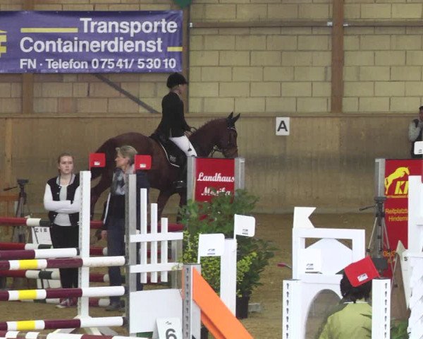 Reitturnier Friedrichshafen - Ailingen 2018