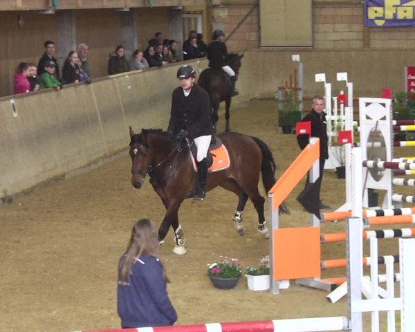 Reitturnier Friedrichshafen - Ailingen 2018