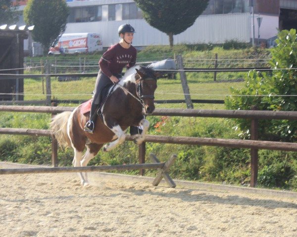 broodmare Annabell (Lewitzer, 2007, from Andimo)