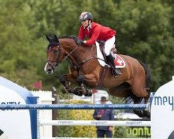 Springpferd Cerano Von Hof CH (Schweizer Warmblut, 2000, von Cernunnus von Hof)