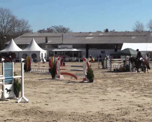 Reitturnier Bottrop 2018