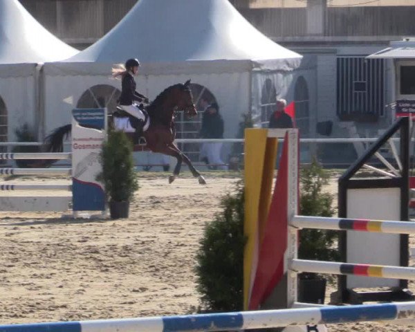 Reitturnier Bottrop 2018
