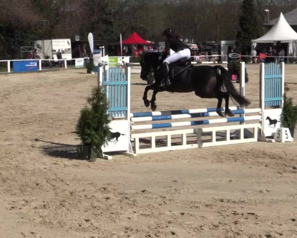 Reitturnier Bottrop 2018