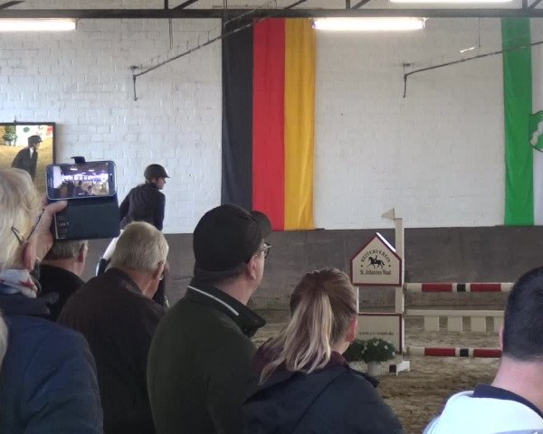 Reitturnier Jüchen-Waat 2018