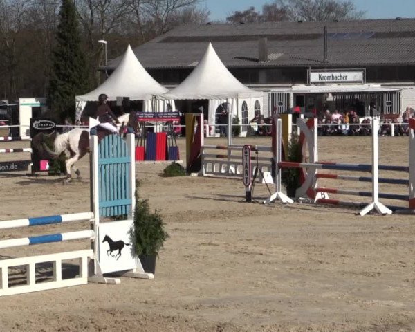 Reitturnier Bottrop 2018