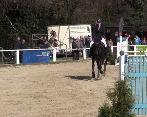 Reitturnier Bottrop 2018