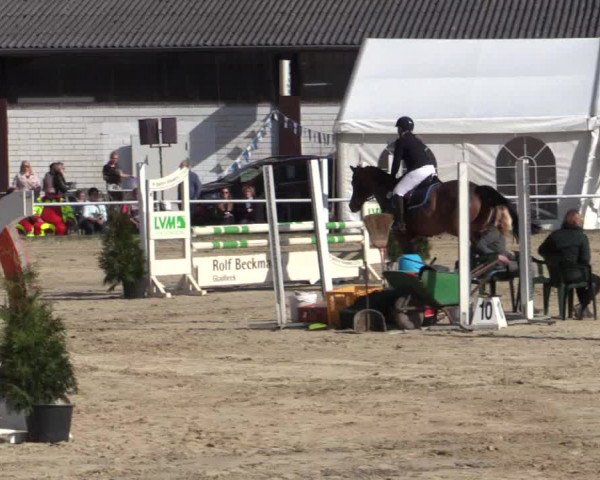 Reitturnier Bottrop 2018