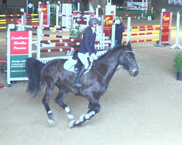 Reitturnier Friedrichshafen - Ailingen 2018