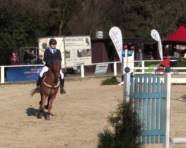 Reitturnier Bottrop 2018
