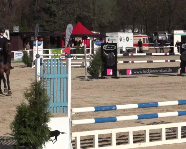 Reitturnier Bottrop 2018