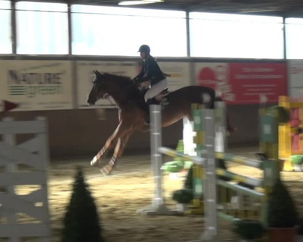 Reitturnier Jüchen-Waat 2018