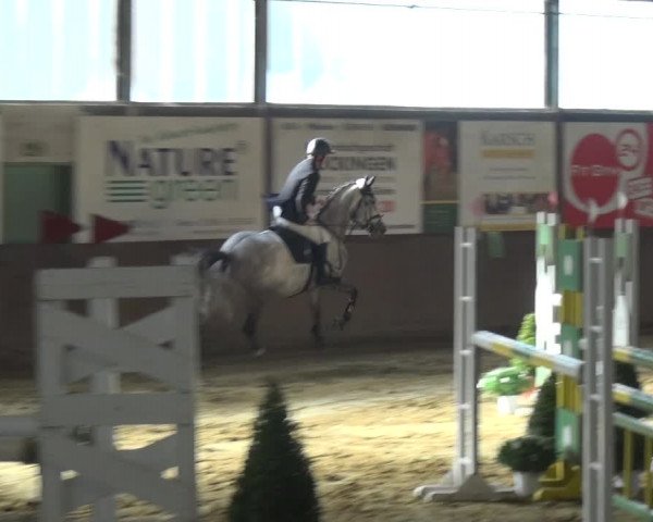 Reitturnier Jüchen-Waat 2018