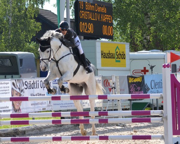 Springpferd Cristallo vom Kappensand (Schweizer Warmblut, 2006, von Calvato VZ)