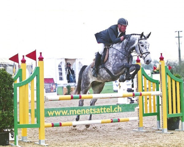 Springpferd Chester vom Kappensand (Schweizer Warmblut, 2002, von Calvato VZ)