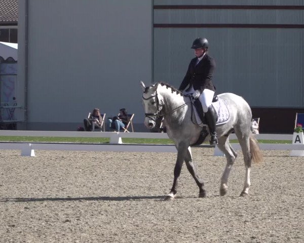Reitturnier Zweibrücken 2018