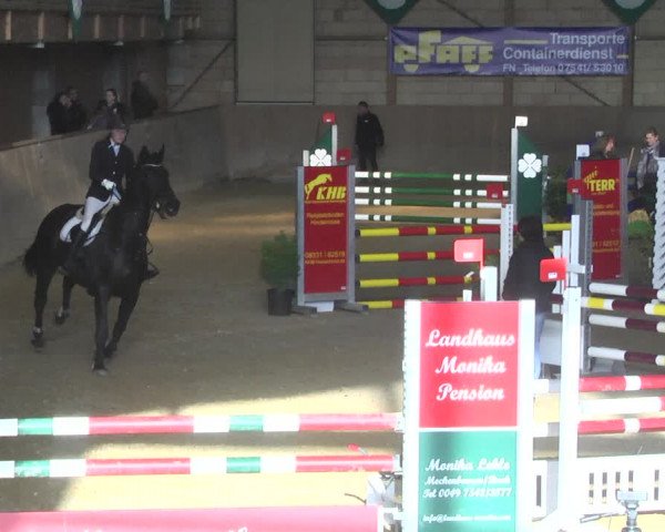 Reitturnier Friedrichshafen - Ailingen 2018
