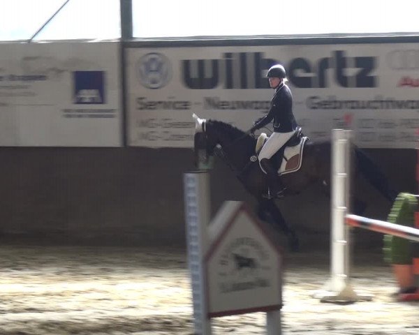 Reitturnier Jüchen-Waat 2018