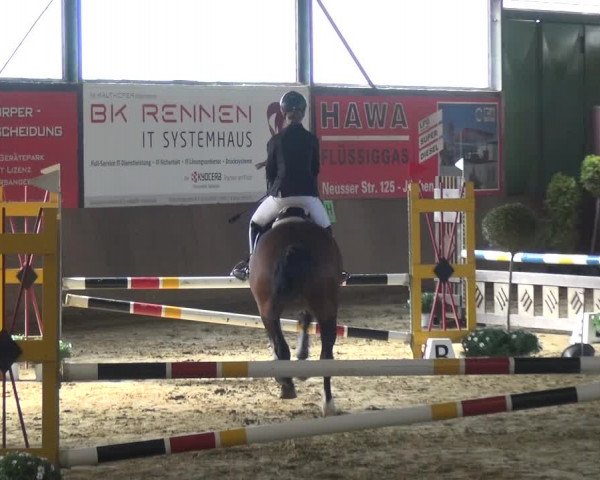 Reitturnier Jüchen-Waat 2018