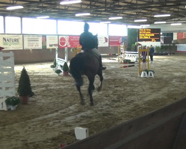 Reitturnier Jüchen-Waat 2018