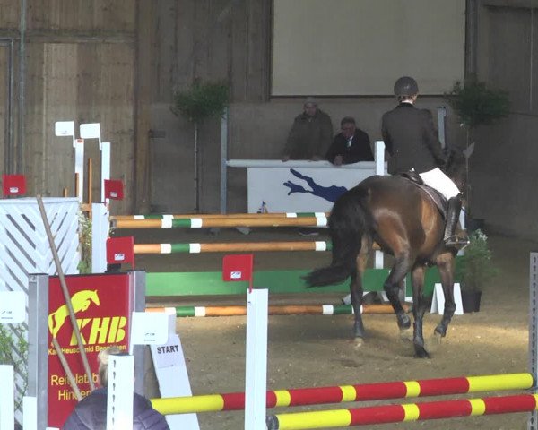 Reitturnier Friedrichshafen - Ailingen 2018