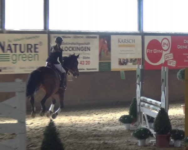 Reitturnier Jüchen-Waat 2018
