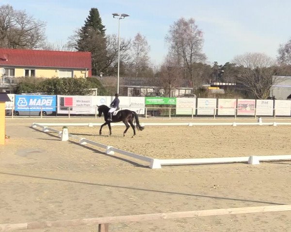 Reitturnier Schloß Holte 2018