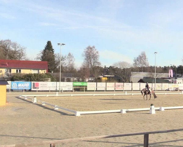 Reitturnier Schloß Holte 2018