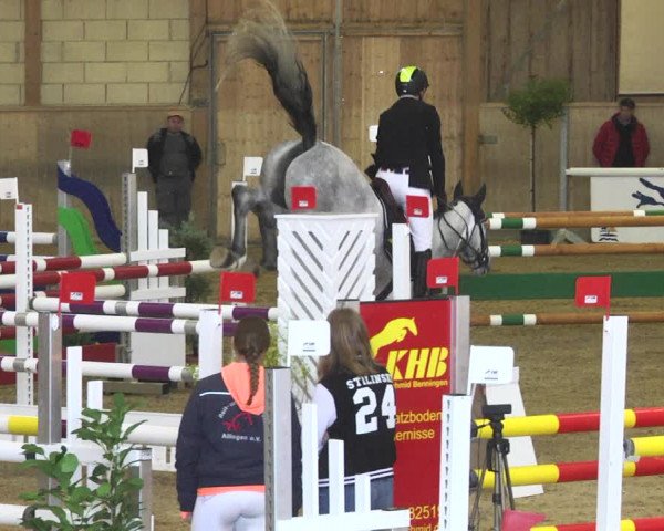 Reitturnier Friedrichshafen - Ailingen 2018