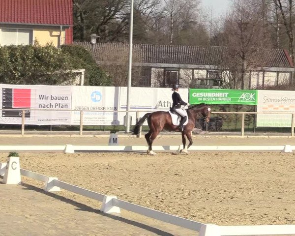 Reitturnier Schloß Holte 2018